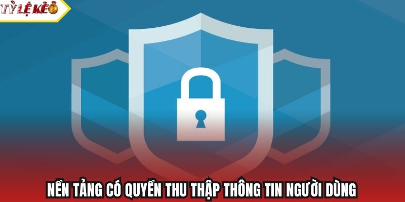 Nền tảng có quyền thu thập thông tin người dùng