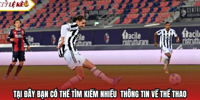 Tại đây bạn có thể tìm kiếm nhiều  thông tin về thể thao